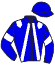 Casaque du jockey de Jina De L'Ormerie