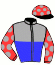 Casaque du jockey de Maximus Villam