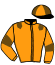 Casaque du jockey de Joker Du Choquel