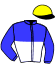 Casaque du jockey de Her Majesty Tege