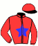 Casaque du jockey de Iena Du Rouezo