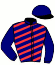 Casaque du jockey de Hiroise Du Parjat