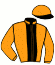Casaque du jockey de Grand Soir Le Fol