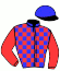 Casaque du jockey de Harley Des Pres
