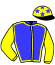 Casaque du jockey de Rabbah
