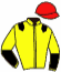Casaque du jockey de Gourgandine