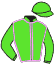 Casaque du jockey de Iconoclaste Erable