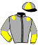 Casaque du jockey de Martel