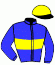 Casaque du jockey de Maximus Du Viclau