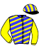 Casaque du jockey de Maestro De Fleury