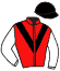 Casaque du jockey de Dream In Brooke