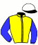 Casaque du jockey de Hollywood Stone