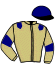 Casaque du jockey de Tiberiana