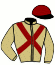 Casaque du jockey de Celanoken