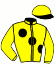 Casaque du jockey de Hiraeth