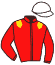 Casaque du jockey de Wasserfarbe