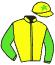 Casaque du jockey de Nikulya Fal