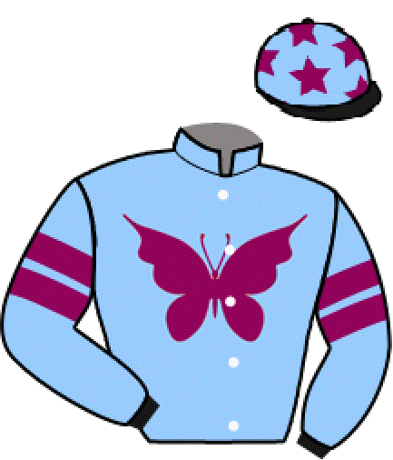 Casaque du jockey de Alatemagicbaby