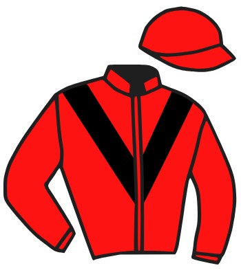 Casaque du jockey de Gaga Girl