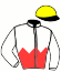 Casaque du jockey de Country Club