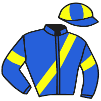 Casaque du jockey de Wallem