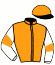 Casaque du jockey de Vega
