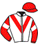 Casaque du jockey de Llandudno