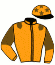 Casaque du jockey de Jain De Janville