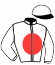 Casaque du jockey de Rate