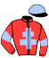 Casaque du jockey de Labrax Du Sky