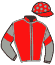 Casaque du jockey de Belle Gosse