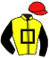 Casaque du jockey de Tzapano