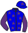 Casaque du cheval Malena