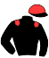 Casaque du jockey de Fameux Sax