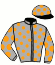 Casaque du jockey de Lady Des Ecus