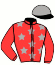 Casaque du jockey de Nee A Dompierre