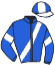 Casaque du jockey de Mistral De Ratilly