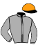 Casaque du jockey de Fly Of Night