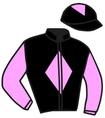 Casaque du jockey de Square D'Alboni