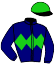Casaque du jockey de Hors Limites