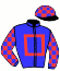 Casaque du jockey de Steall Pletude