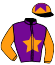 Casaque du jockey de Landegavum