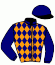 Casaque du jockey de Roman Skies