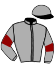 Casaque du jockey de Assez Rapide