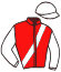 Casaque du jockey de Shabrack