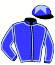 Casaque du jockey de Violin
