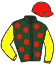 Casaque du jockey de Present Du Berlais