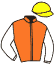 Casaque du jockey de Zoomer