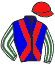 Casaque du jockey de Placenet