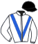 Casaque du jockey de Coeur De Roume